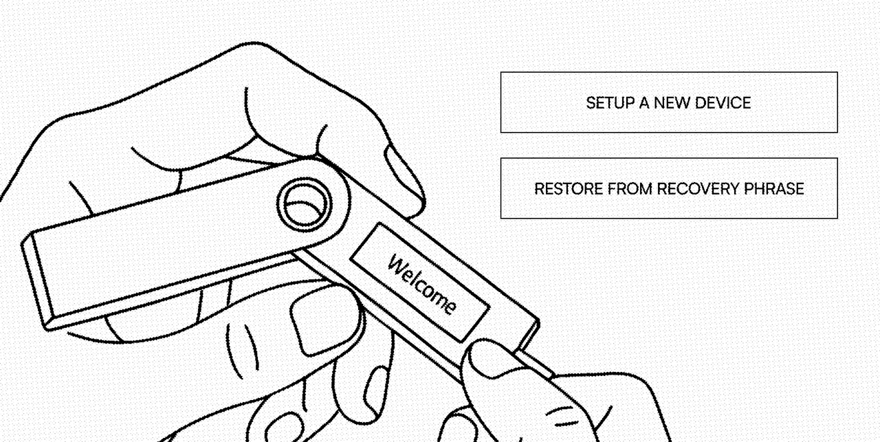 Ledger guide setup choice